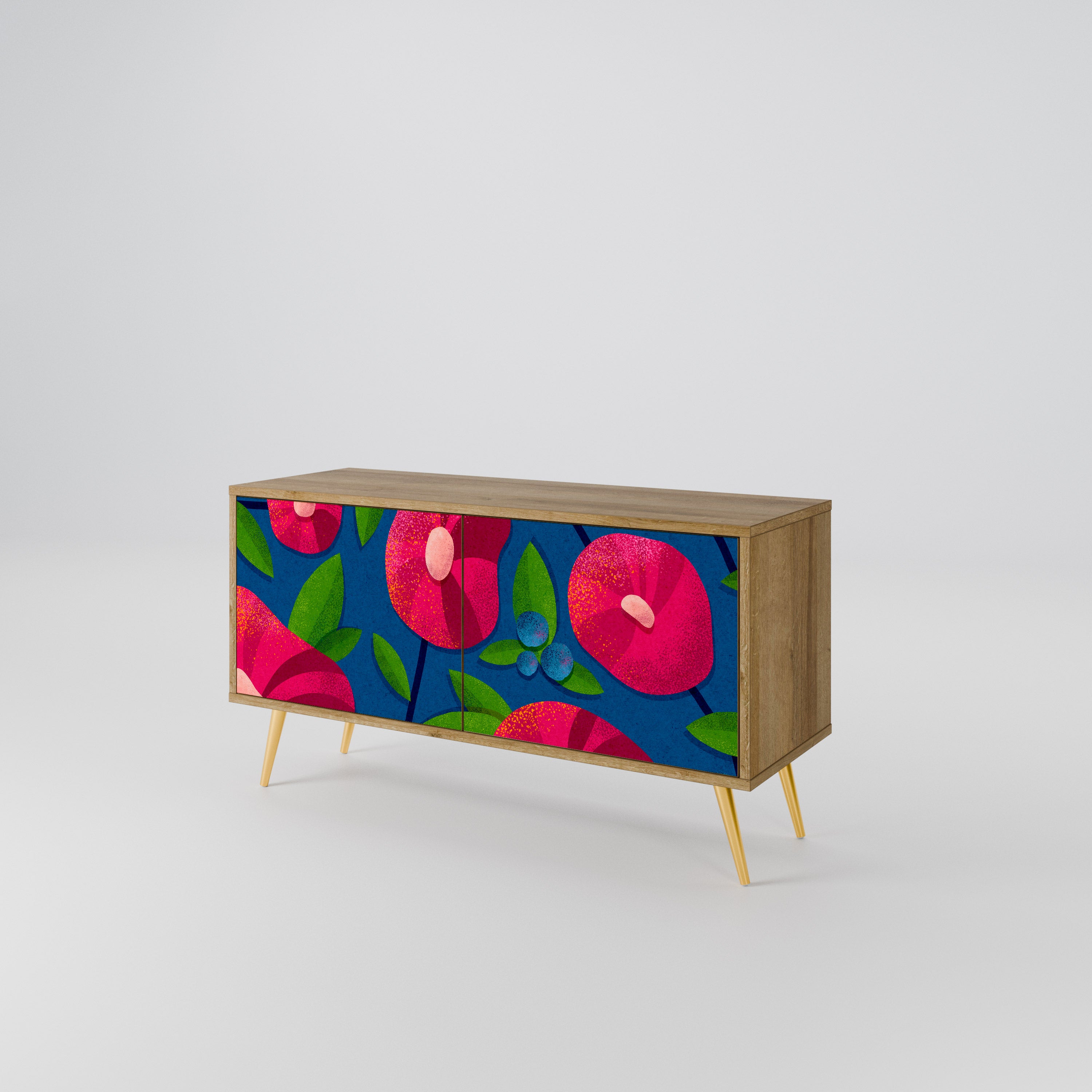 SPRING THOUGHTS Mueble de TV Compacto de 2 puertas