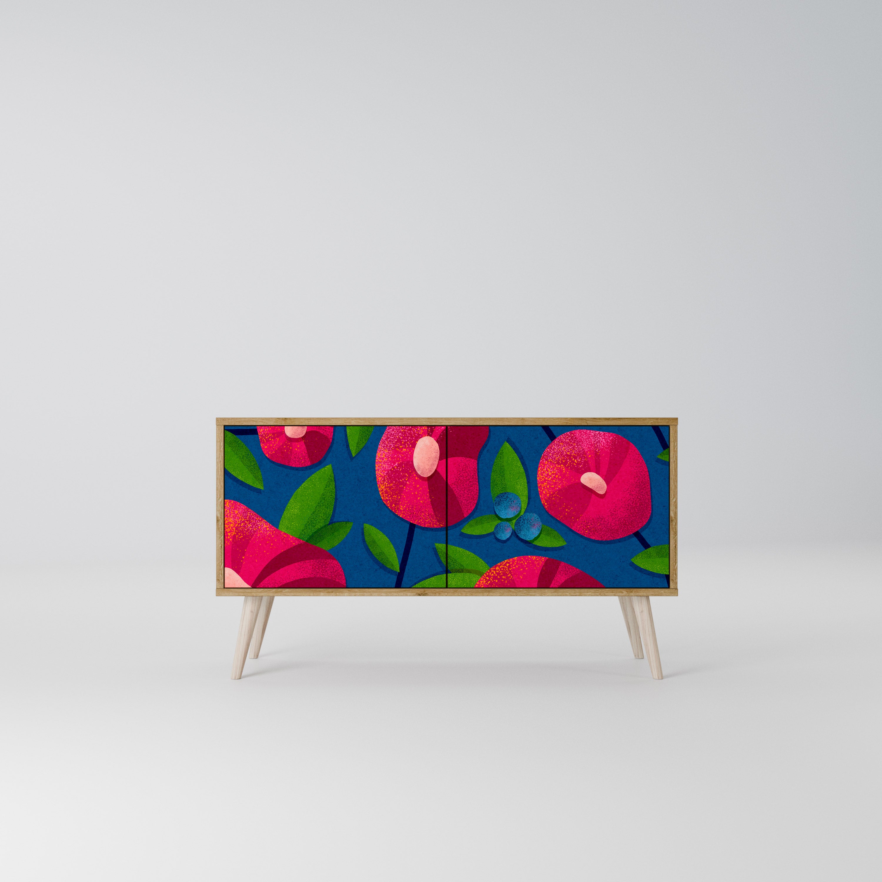 SPRING THOUGHTS Mueble de TV Compacto de 2 puertas