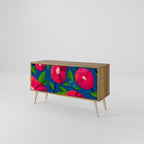 SPRING THOUGHTS Mueble de TV Compacto de 2 puertas