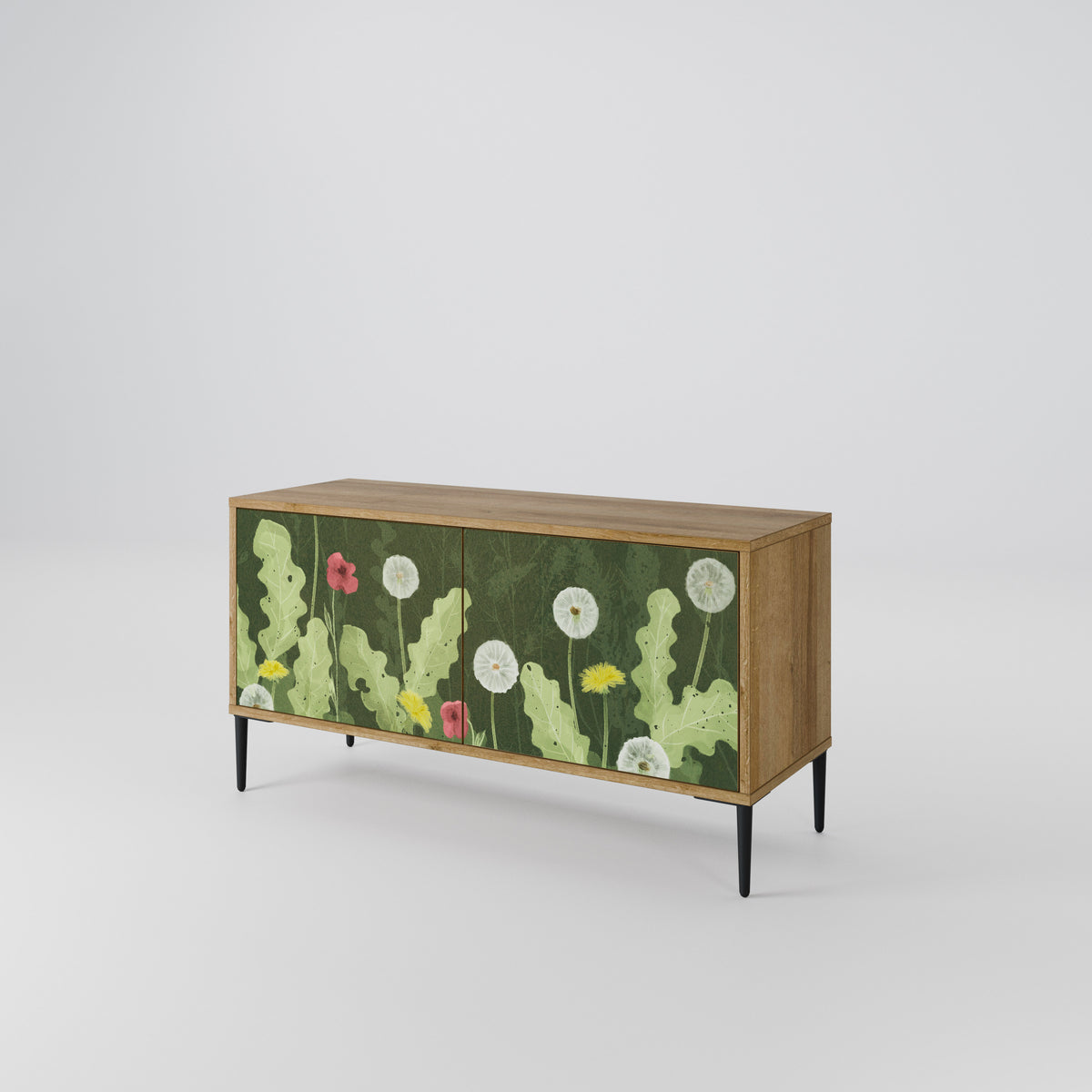 DANDELION AMUSE Mueble de TV Compacto de 2 puertas