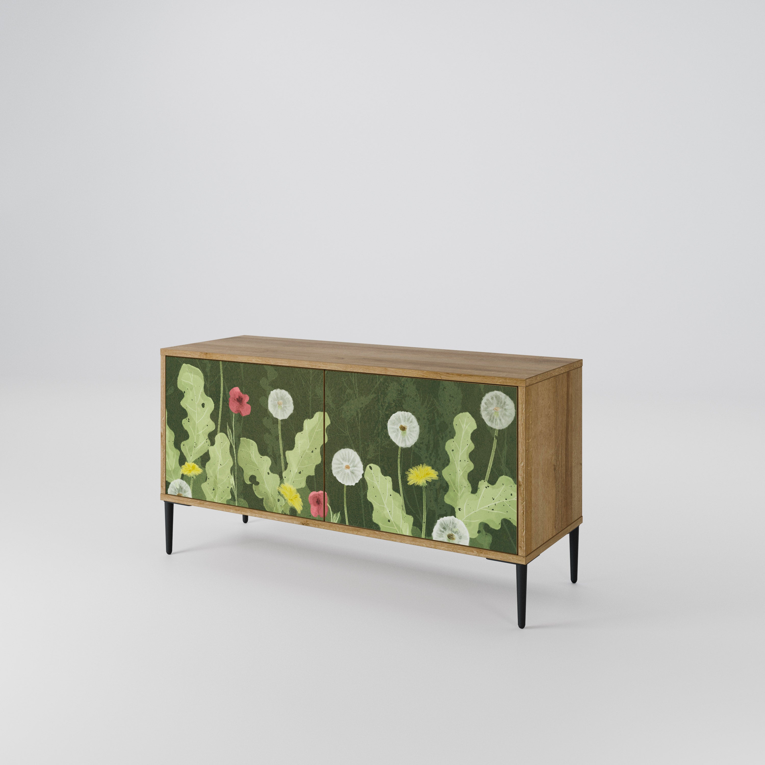 DANDELION AMUSE Mueble de TV Compacto de 2 puertas