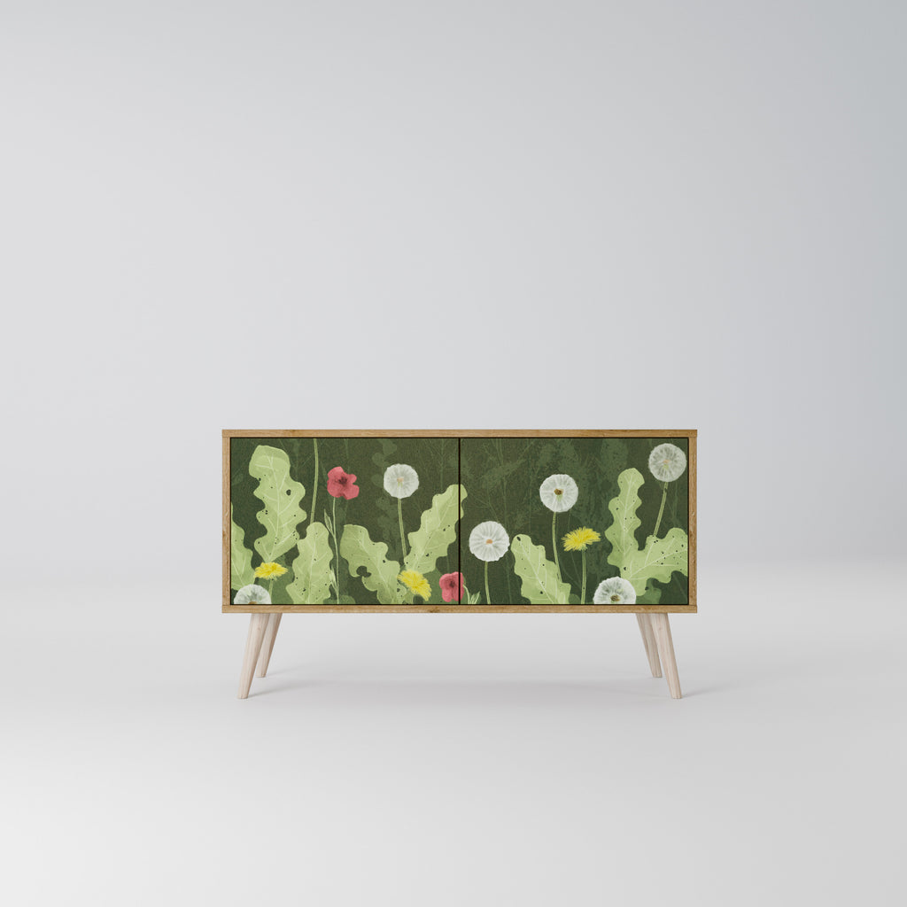 DANDELION AMUSE Mueble de TV Compacto de 2 puertas