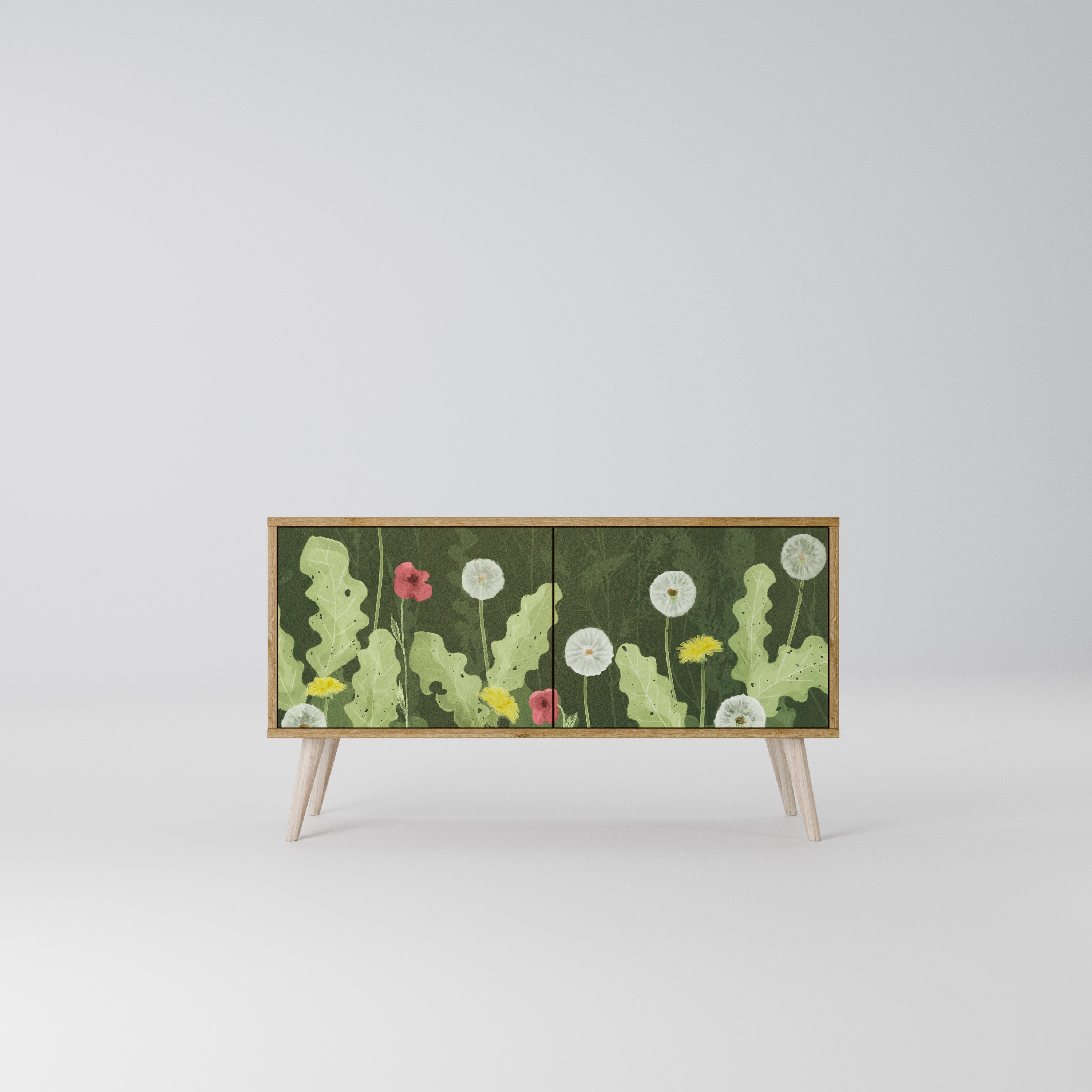 DANDELION AMUSE Mueble de TV Compacto de 2 puertas
