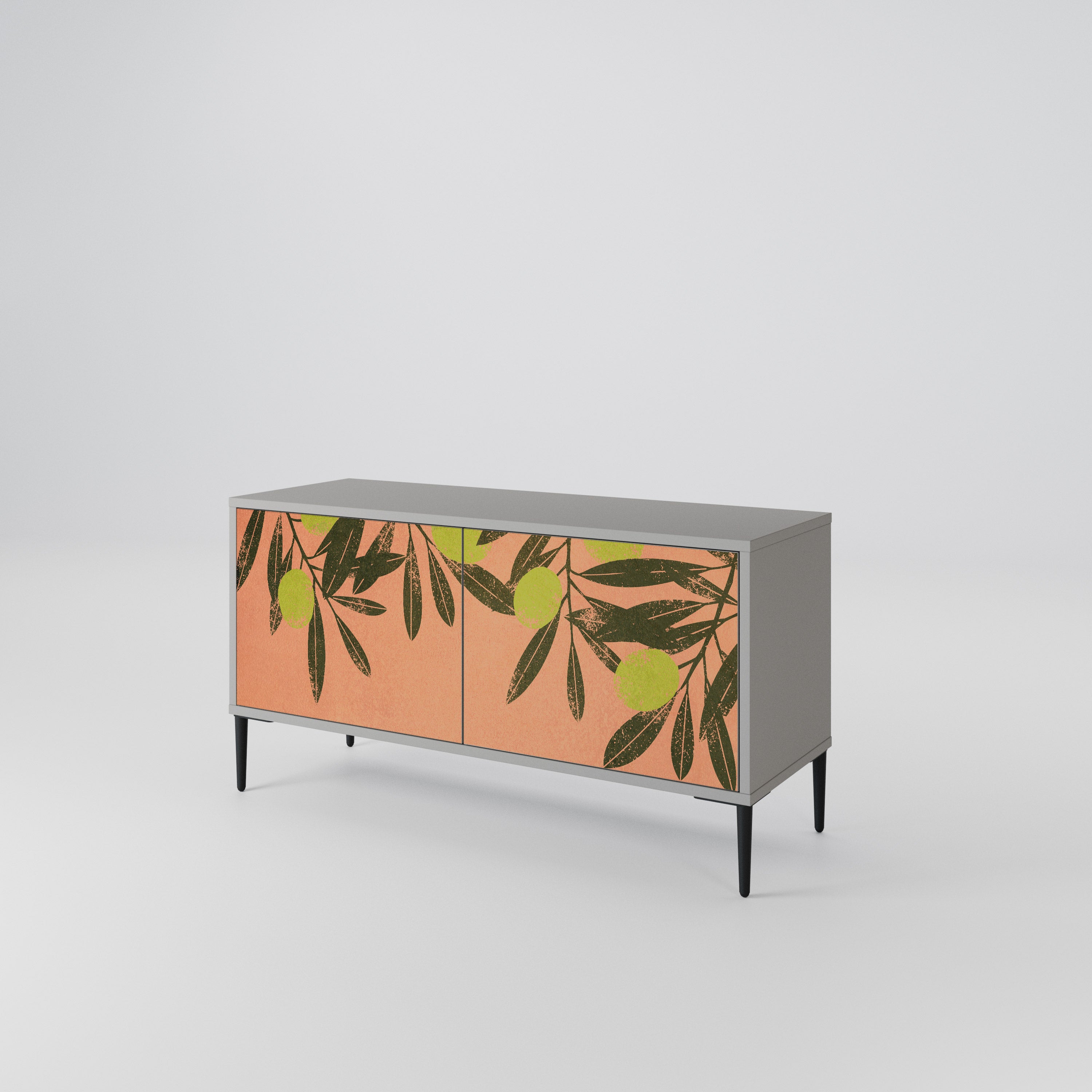 JUICY OLIVES Compact 2-Door TV Cabinet