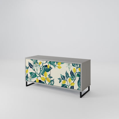 LEMON TREE Mueble de TV Compacto de 2 puertas