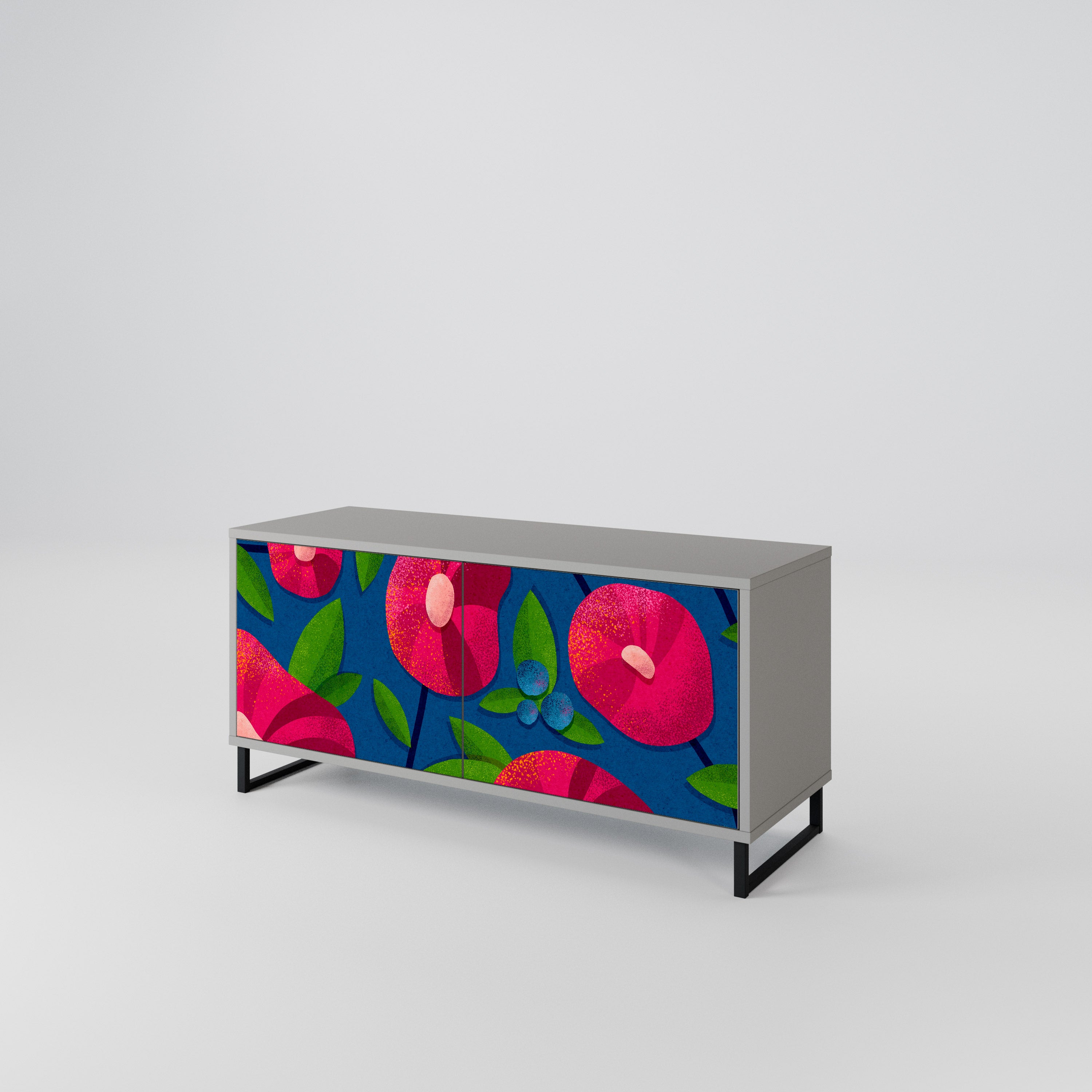 SPRING THOUGHTS Mueble de TV Compacto de 2 puertas