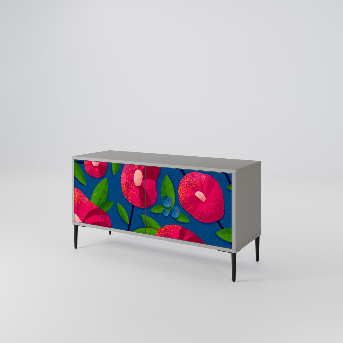 SPRING THOUGHTS Mueble de TV Compacto de 2 puertas