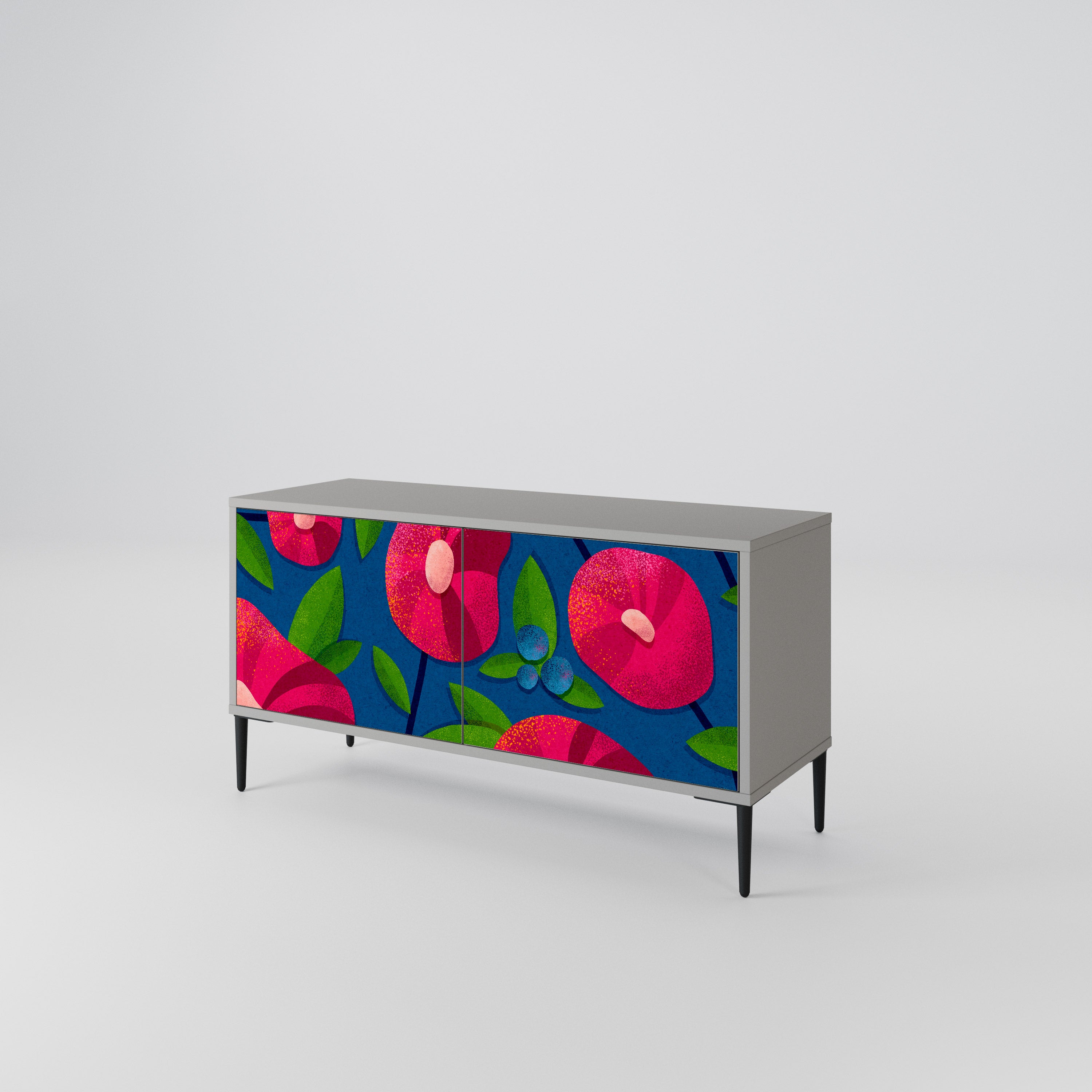 SPRING THOUGHTS Mueble de TV Compacto de 2 puertas