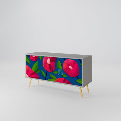 SPRING THOUGHTS Mueble de TV Compacto de 2 puertas