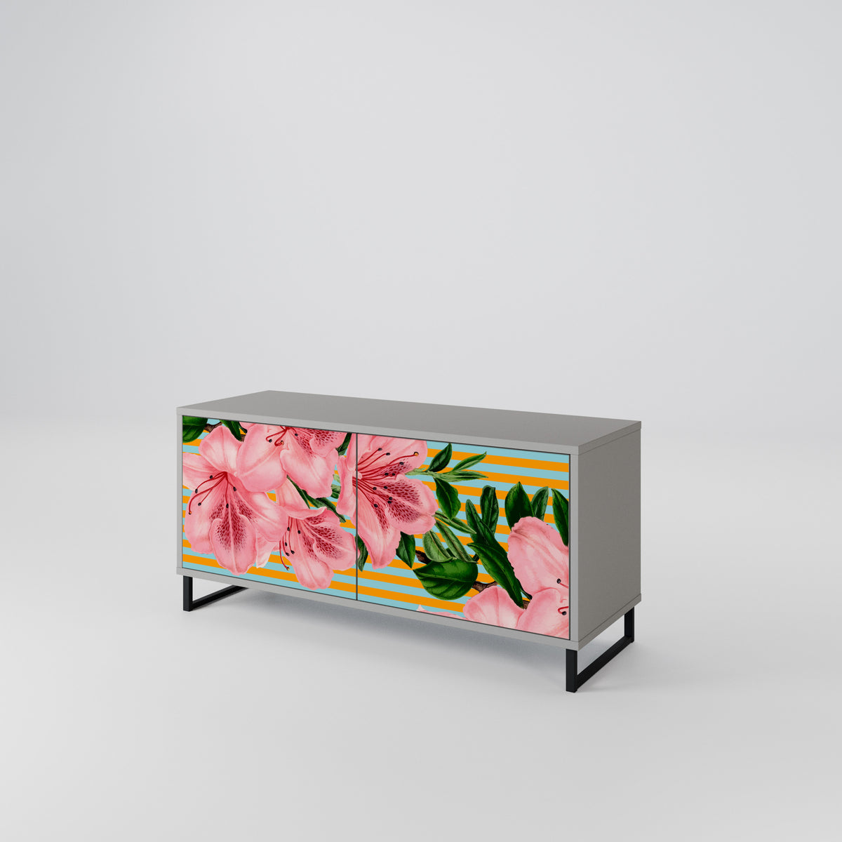 FRAGILE BEAUTY Mueble de TV Compacto de 2 puertas