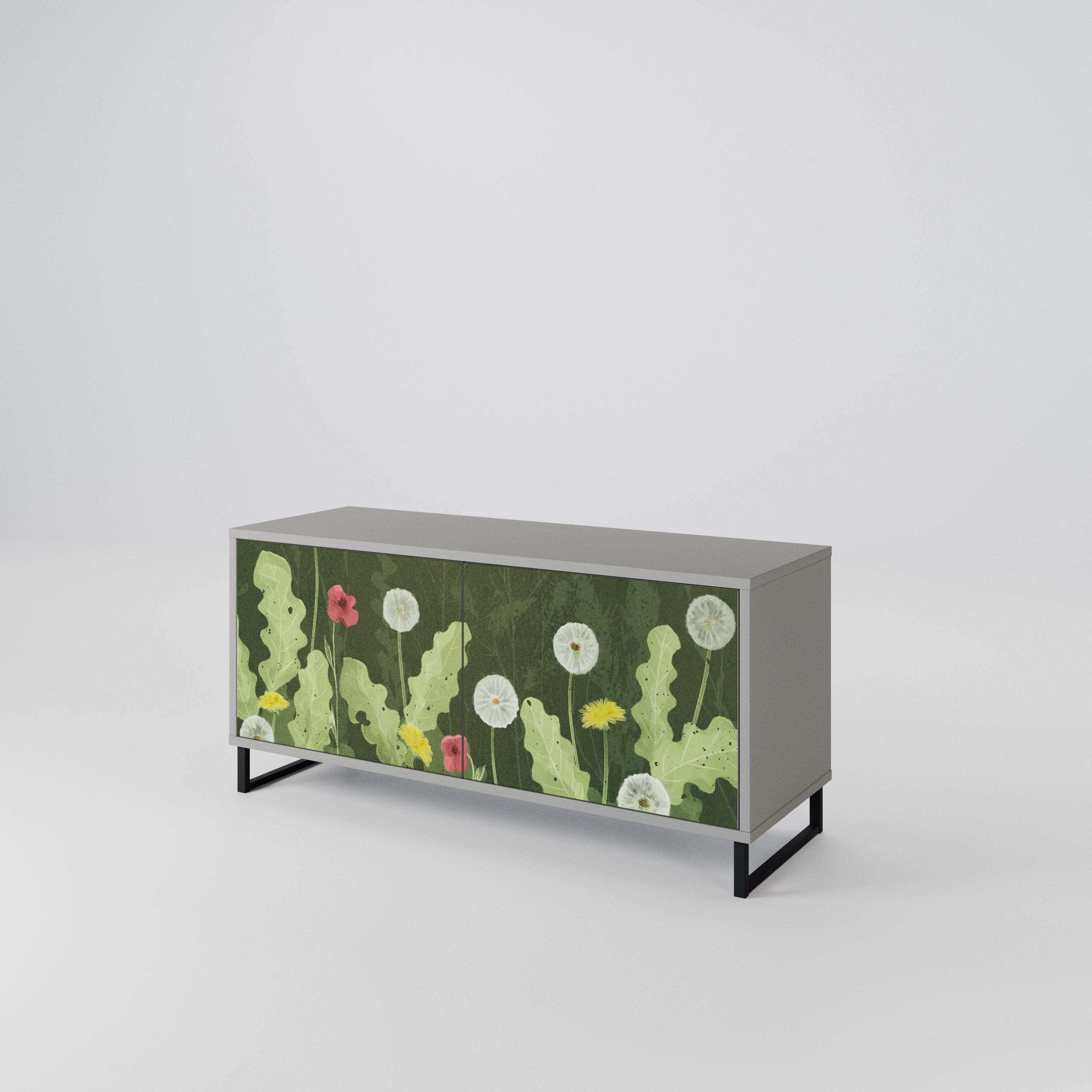 DANDELION AMUSE Mueble de TV Compacto de 2 puertas