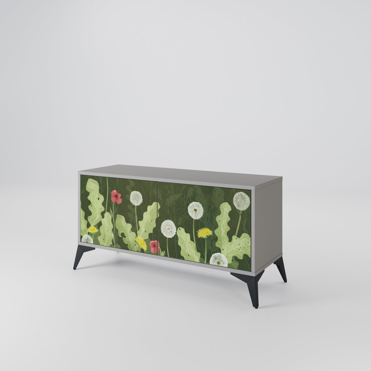 DANDELION AMUSE Mueble de TV Compacto de 2 puertas
