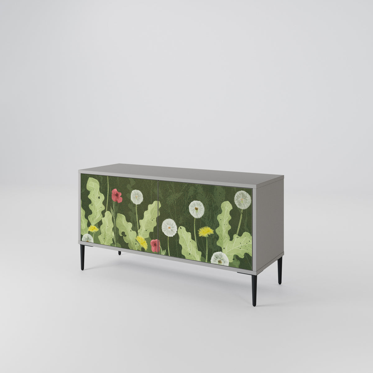 DANDELION AMUSE Mueble de TV Compacto de 2 puertas
