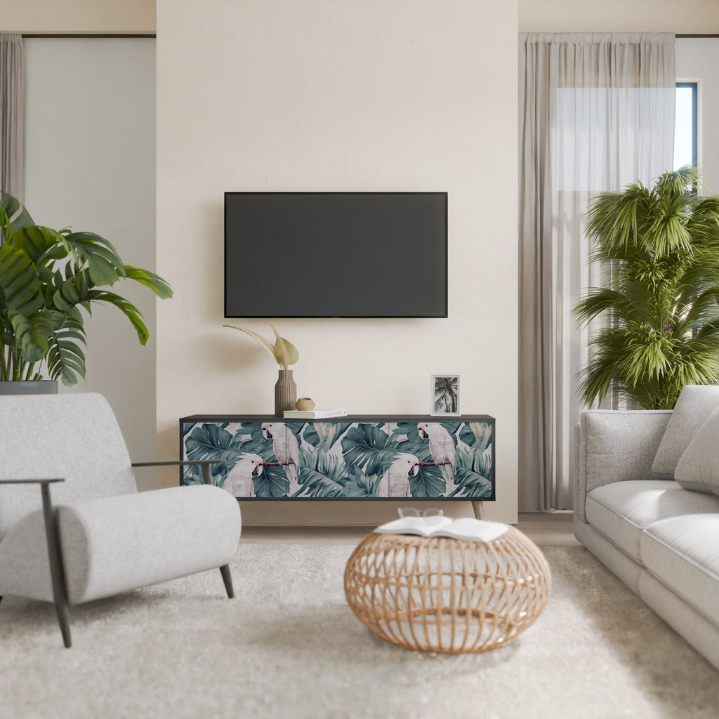 POPINJAY LOOK 3-Door TV Stand in Black Finish