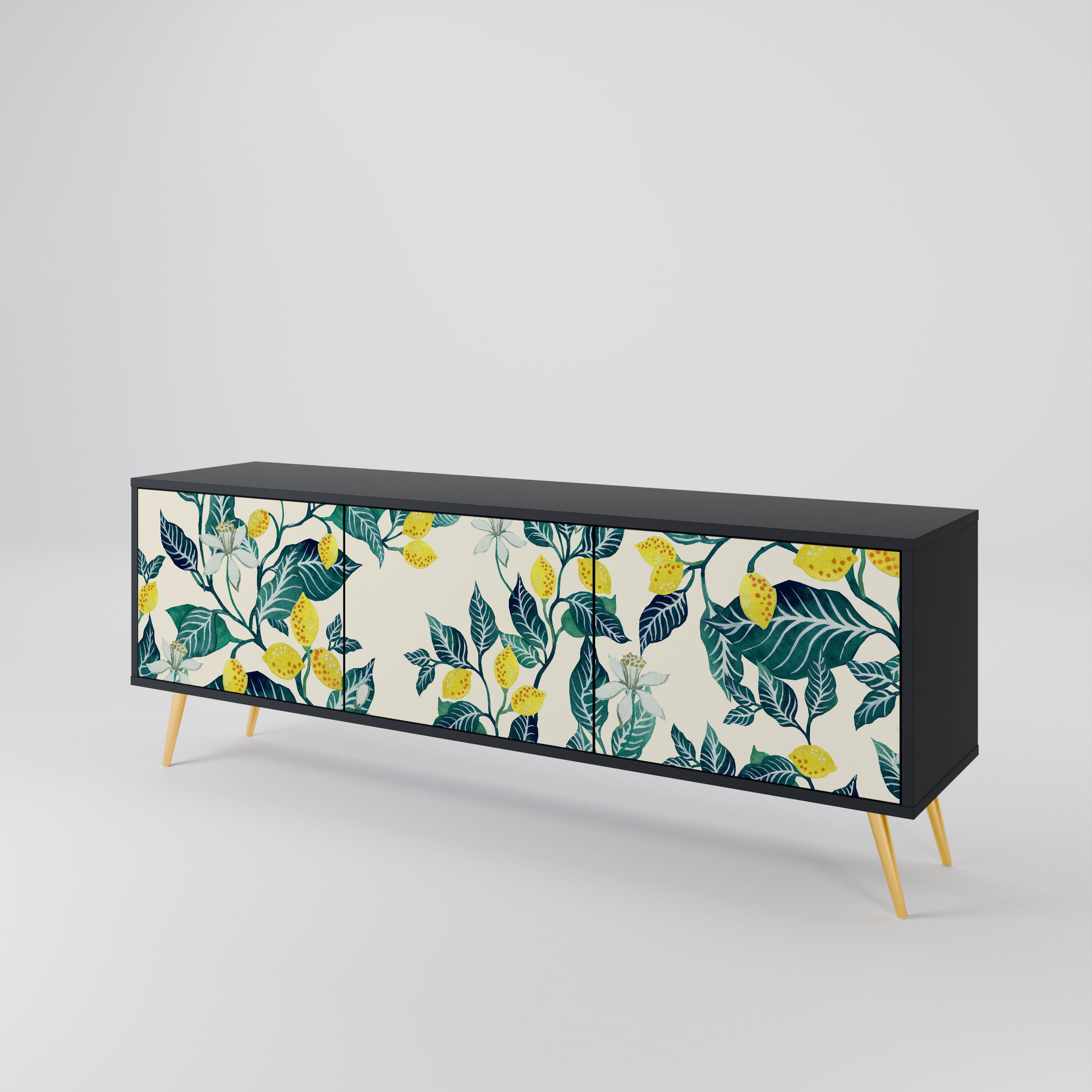 LEMON TREE 3-Door TV Stand in Black Finish