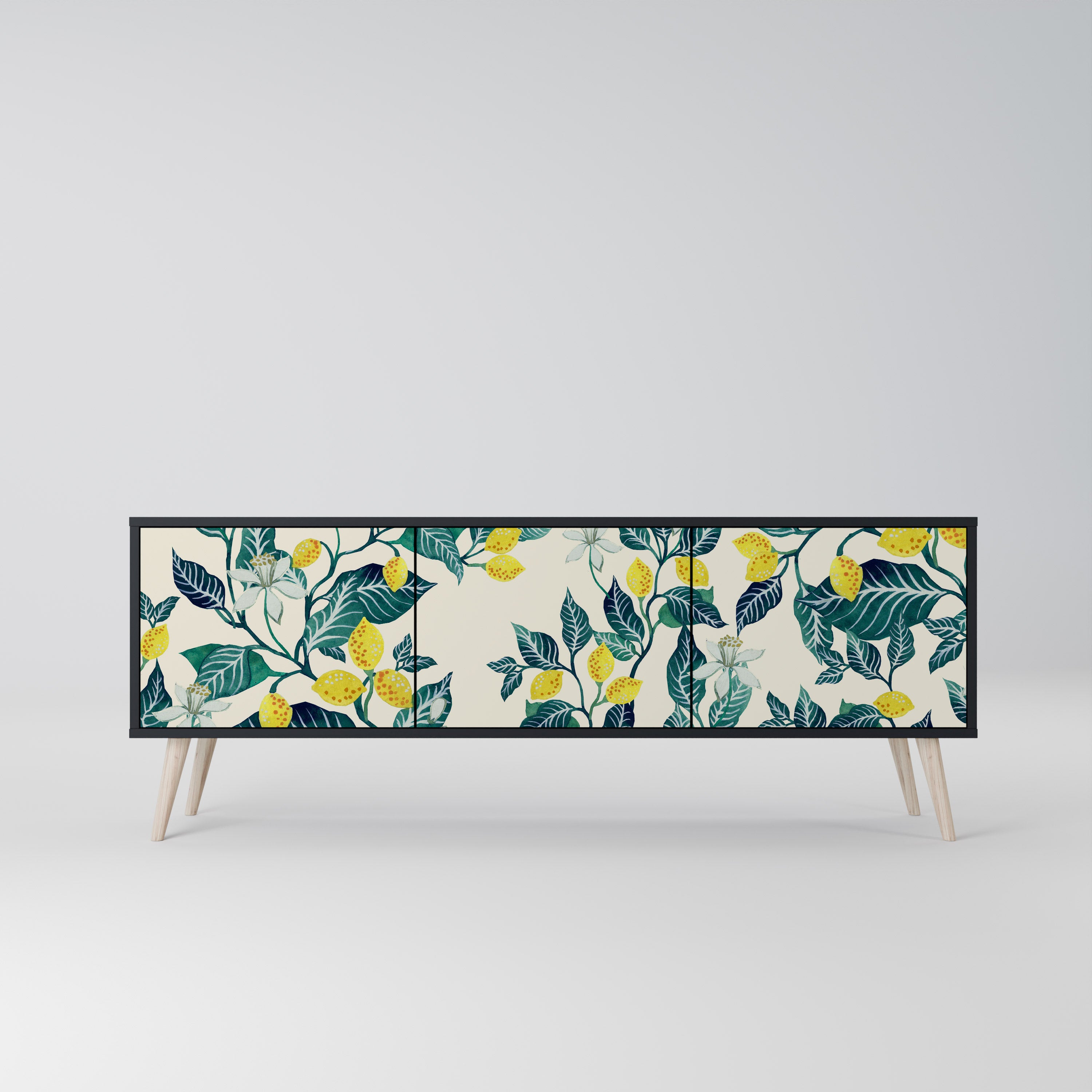 LEMON TREE 3-Door TV Stand in Black Finish