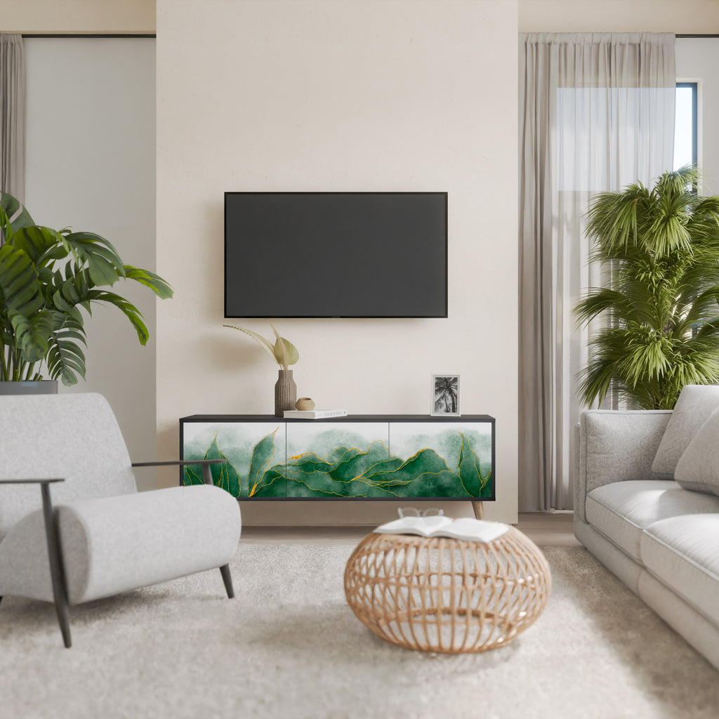 EXPENSIVE NATURE 3-Door TV Stand in Black Finish