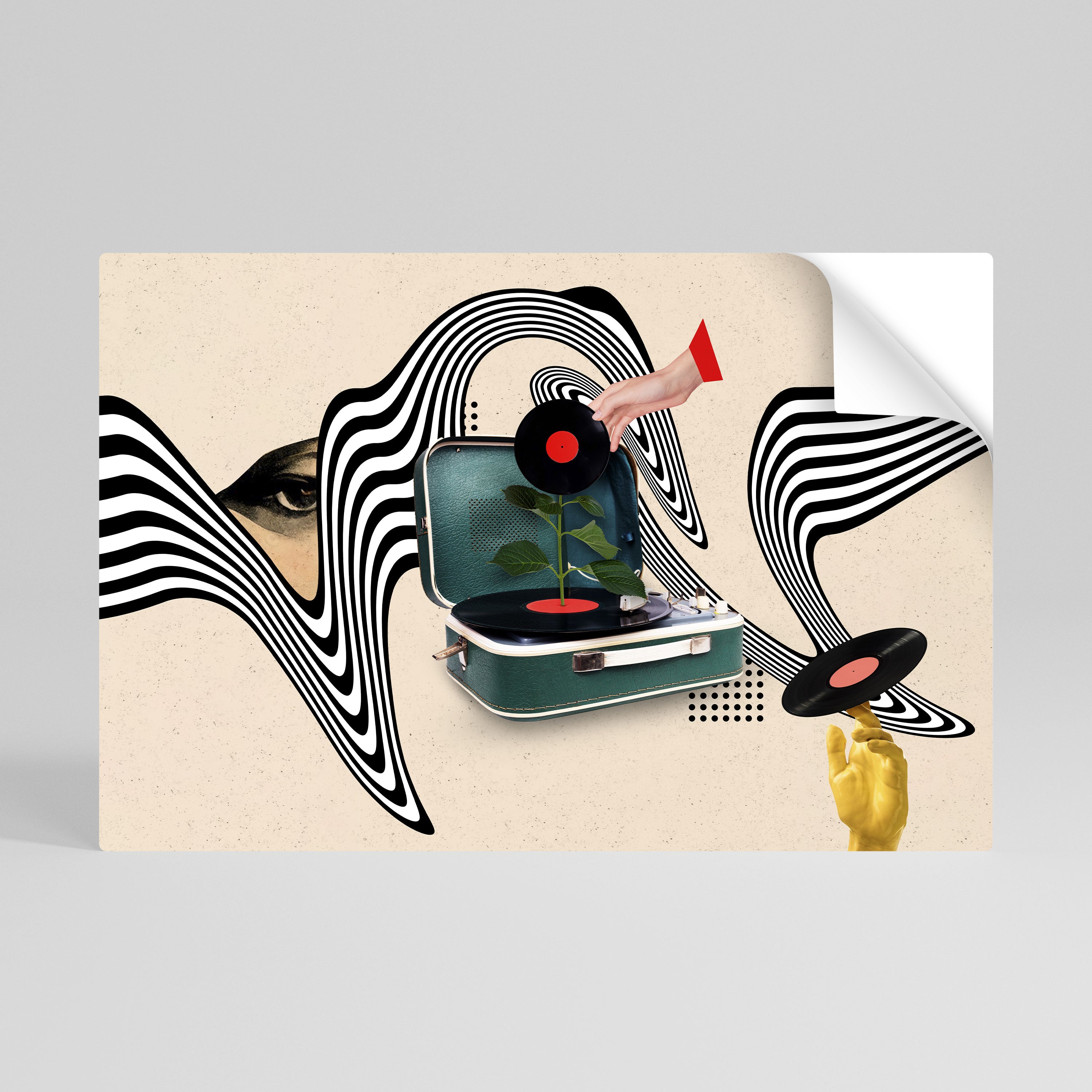 VINYL VARIATION Peel and Stick Horizontal Poster