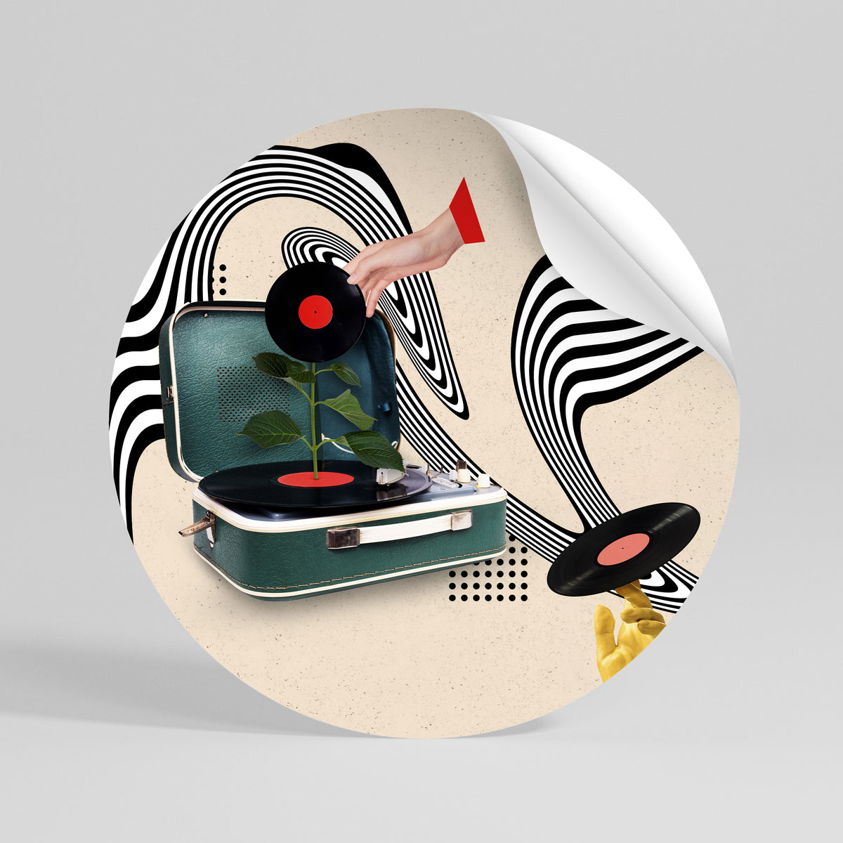 VINYL VARIATION Vinilo adhesivo redondo
