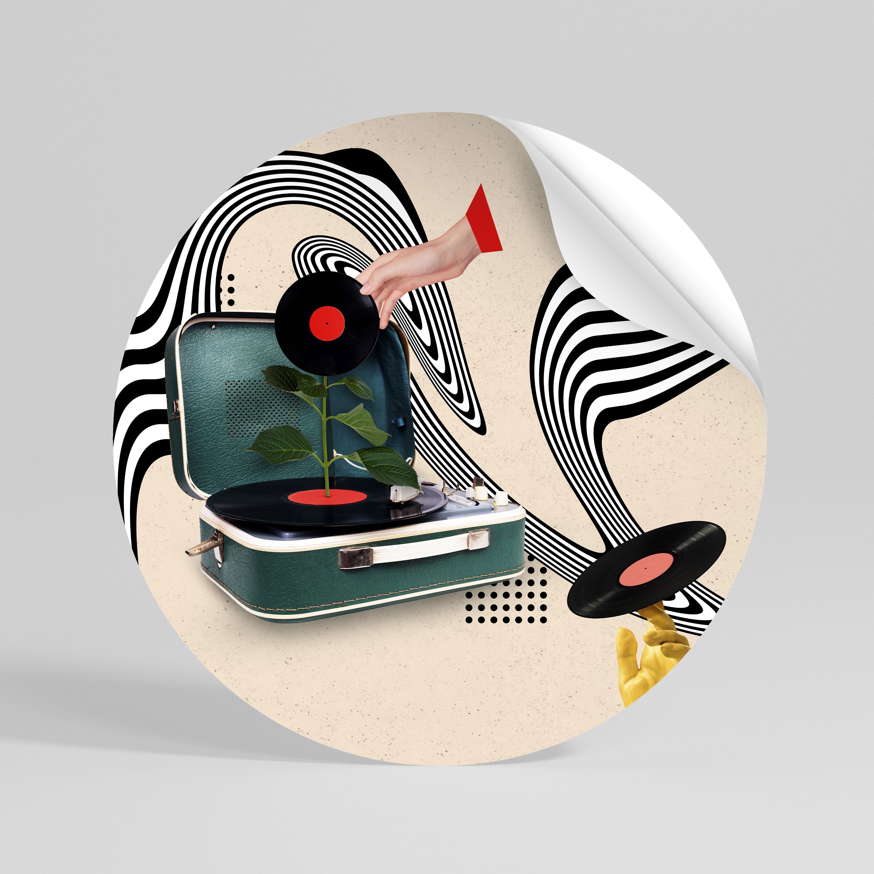 VINYL VARIATION Vinilo adhesivo redondo