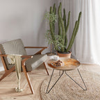 AMBER WHISPERS Coffee Table