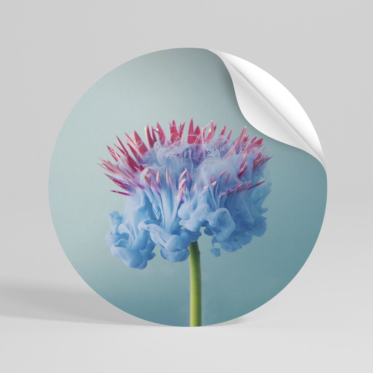 MISTY BLUE EXPLOSION Vinilo adhesivo redondo