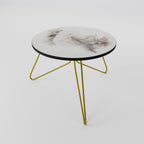 CHARMING DELICACY Mesa de centro