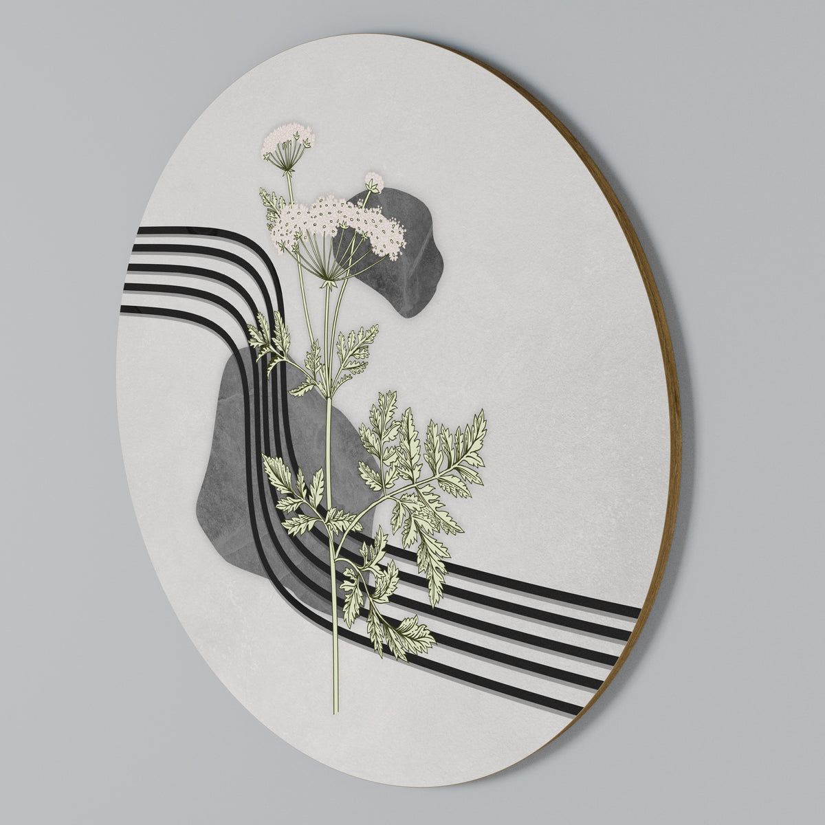 HERACLEUM ARRAY Arte de pared redondo