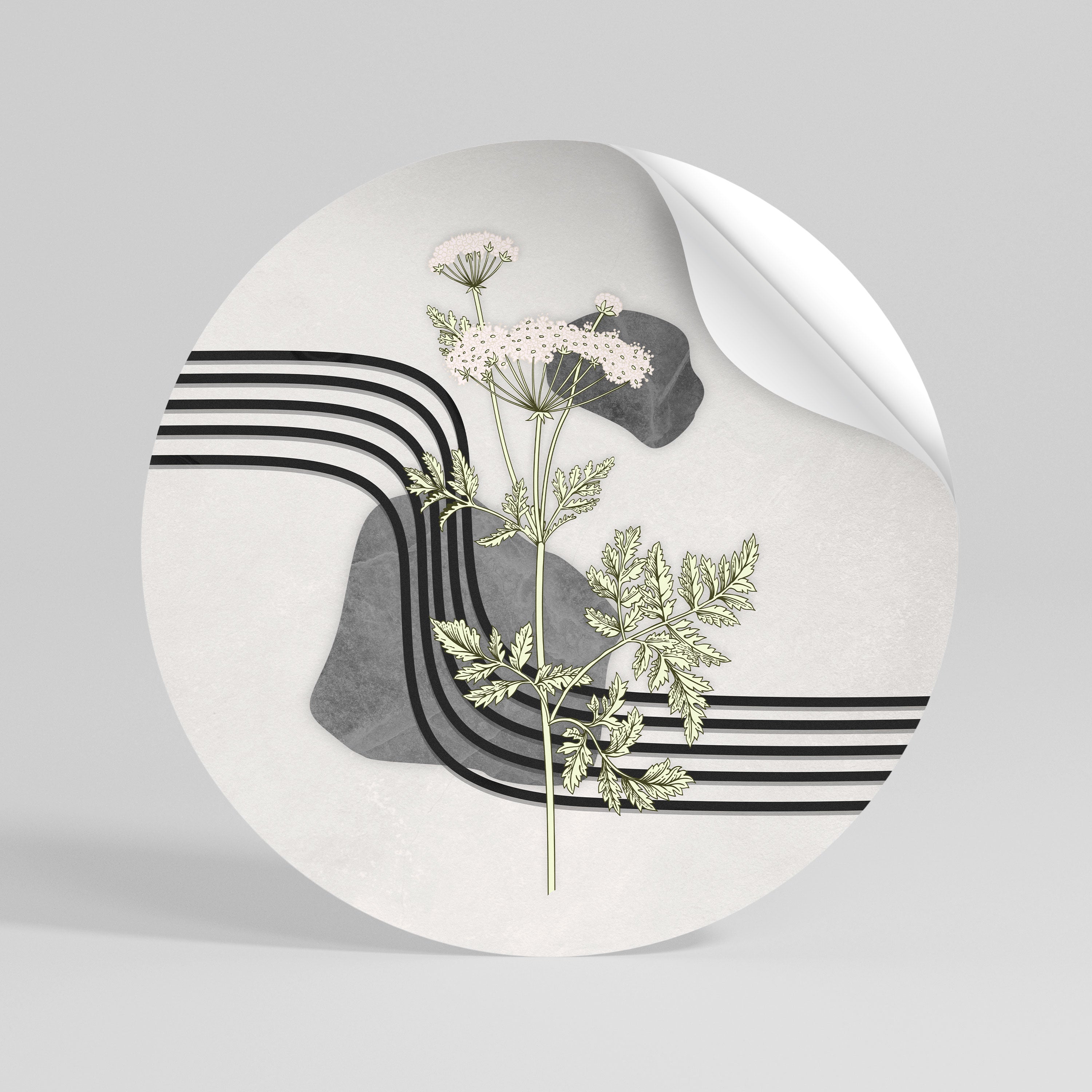 HERACLEUM ARRAY Vinilo adhesivo redondo