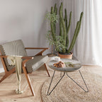 ROOTS OF TIME Coffee Table 60