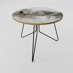 FROZEN IN TIME Coffee Table 69