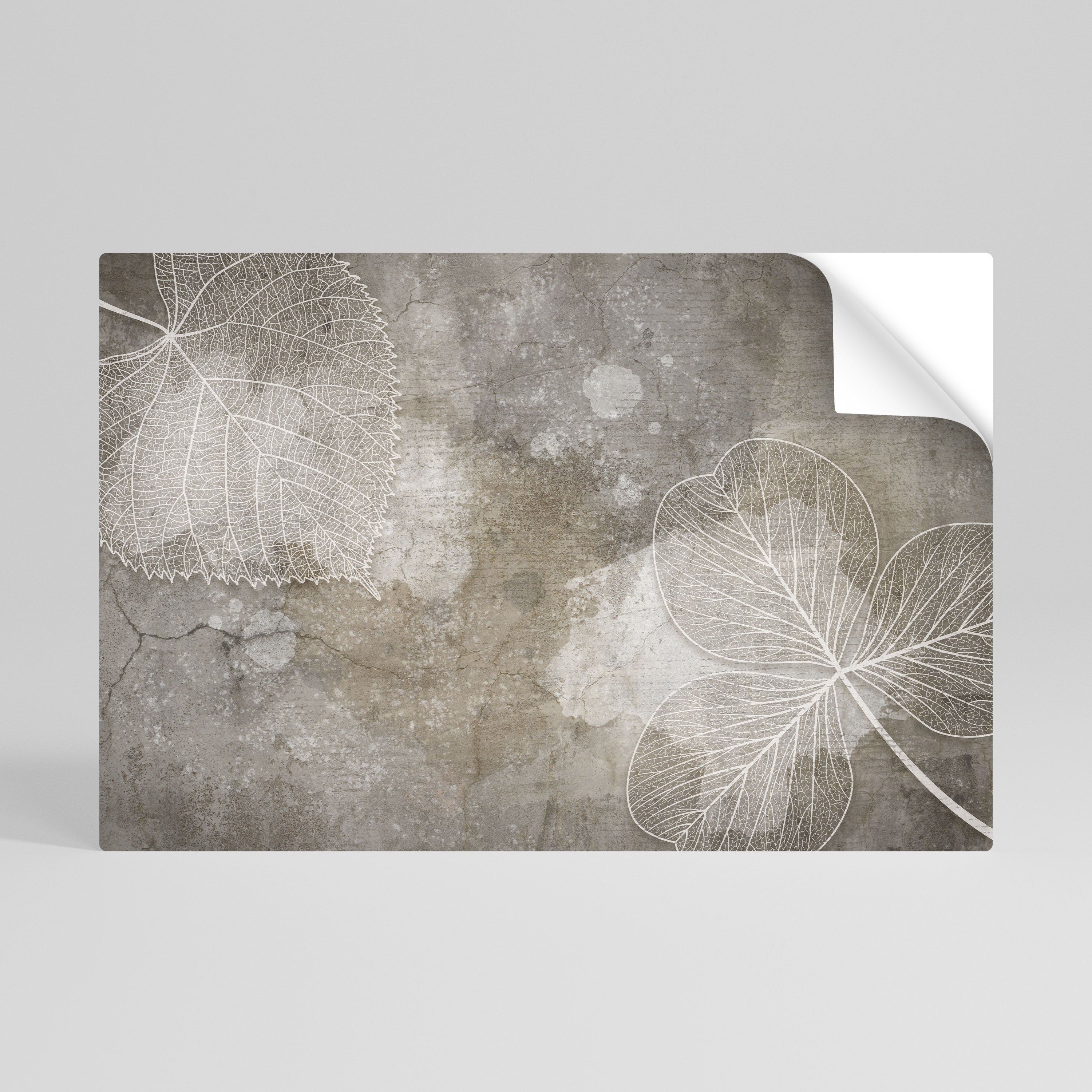 Póster horizontal autoadhesivo FAIR NERVATION