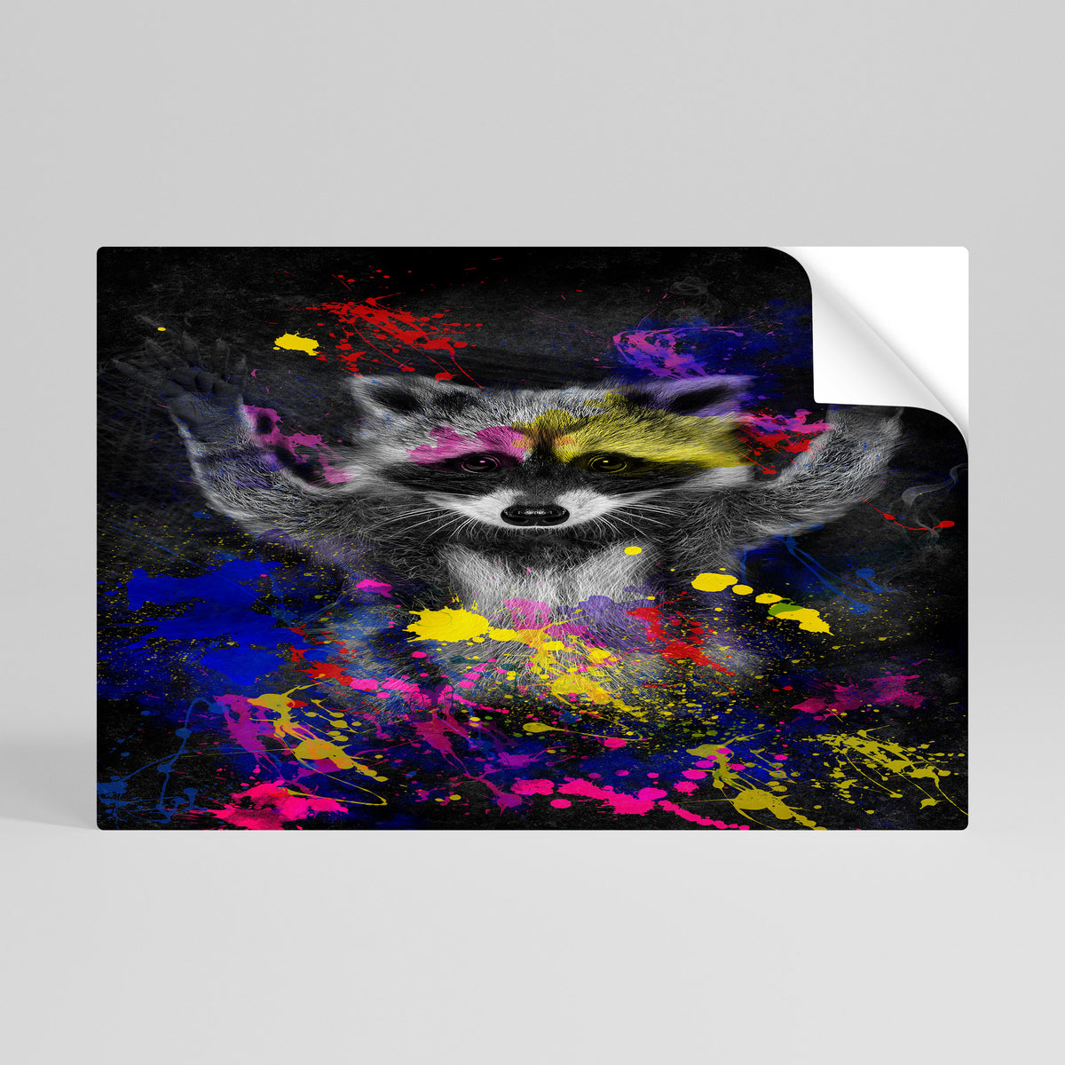 RACCOON ARTISTRY Póster adhesivo horizontal