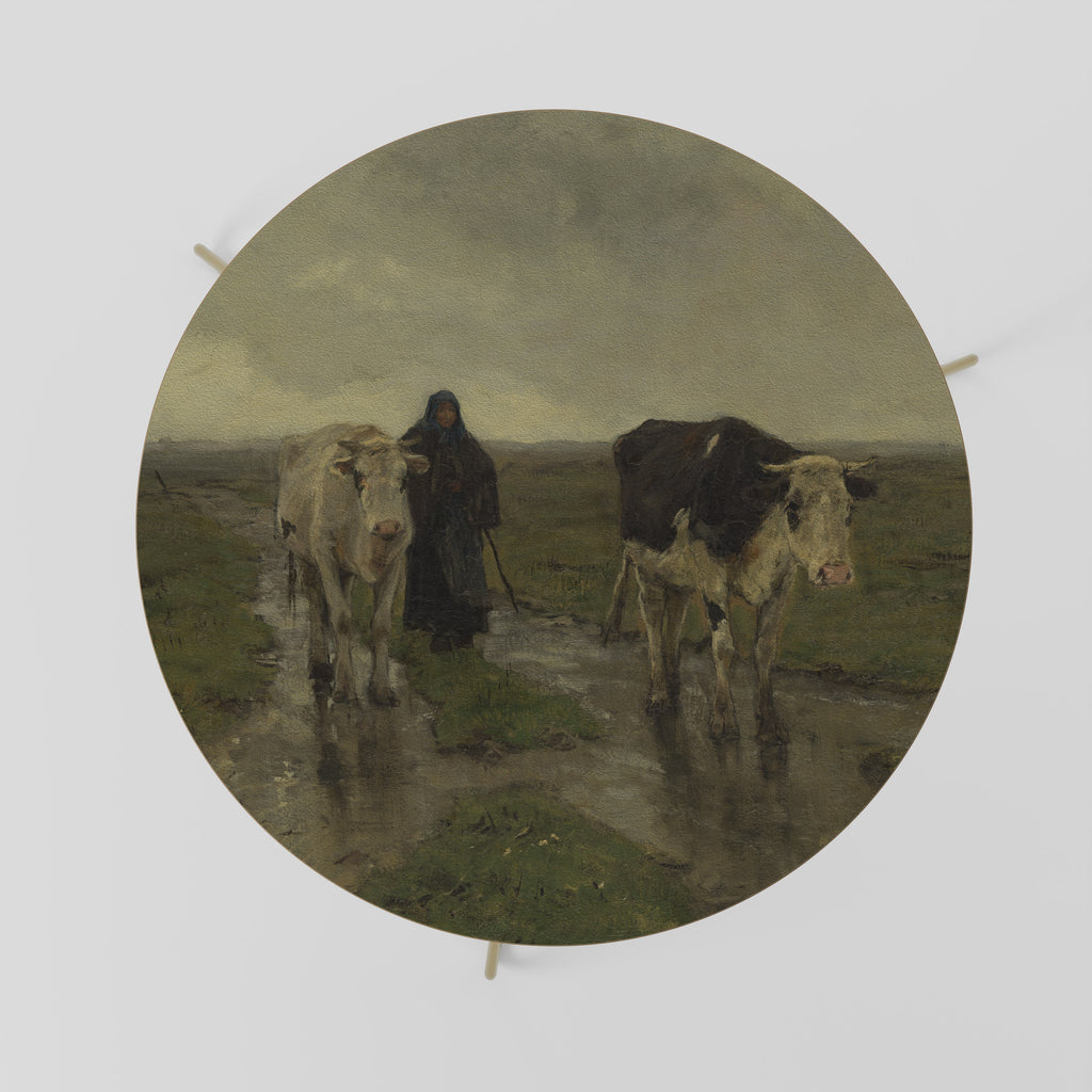 REFLEJOS LLUVIOSOS Mesa de centro 69