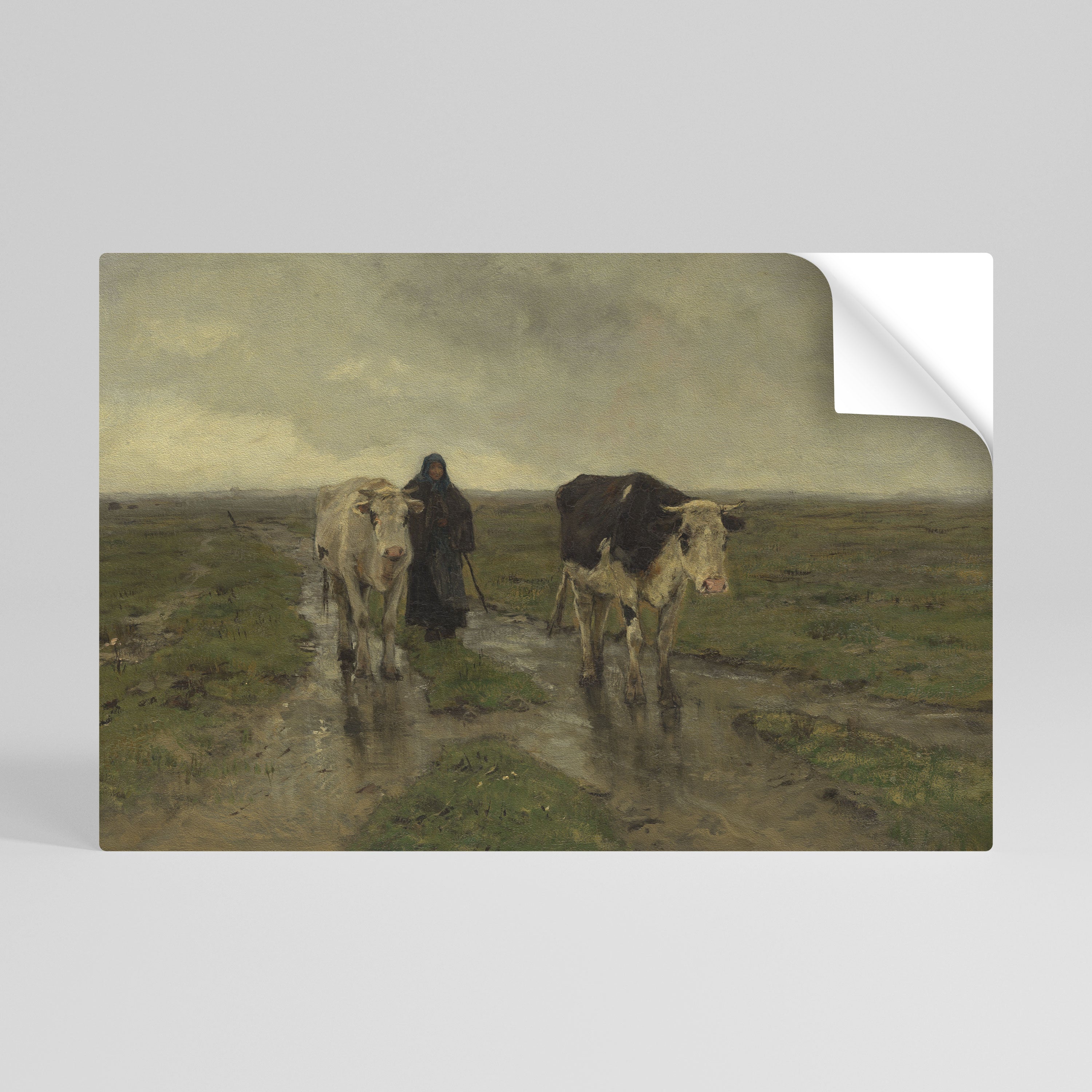 REFLEJOS LLUVIOSOS Póster horizontal autoadhesivo