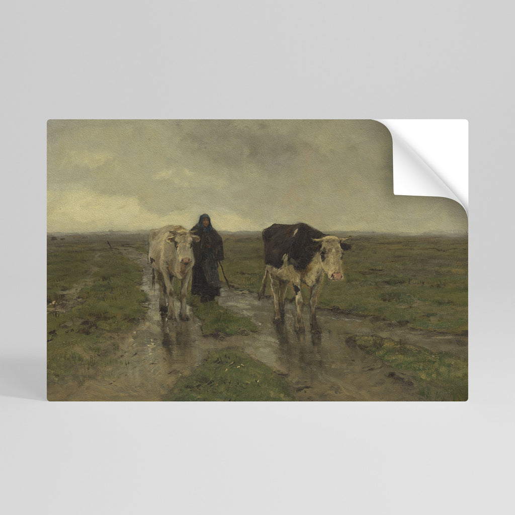 REFLEJOS LLUVIOSOS Póster horizontal autoadhesivo