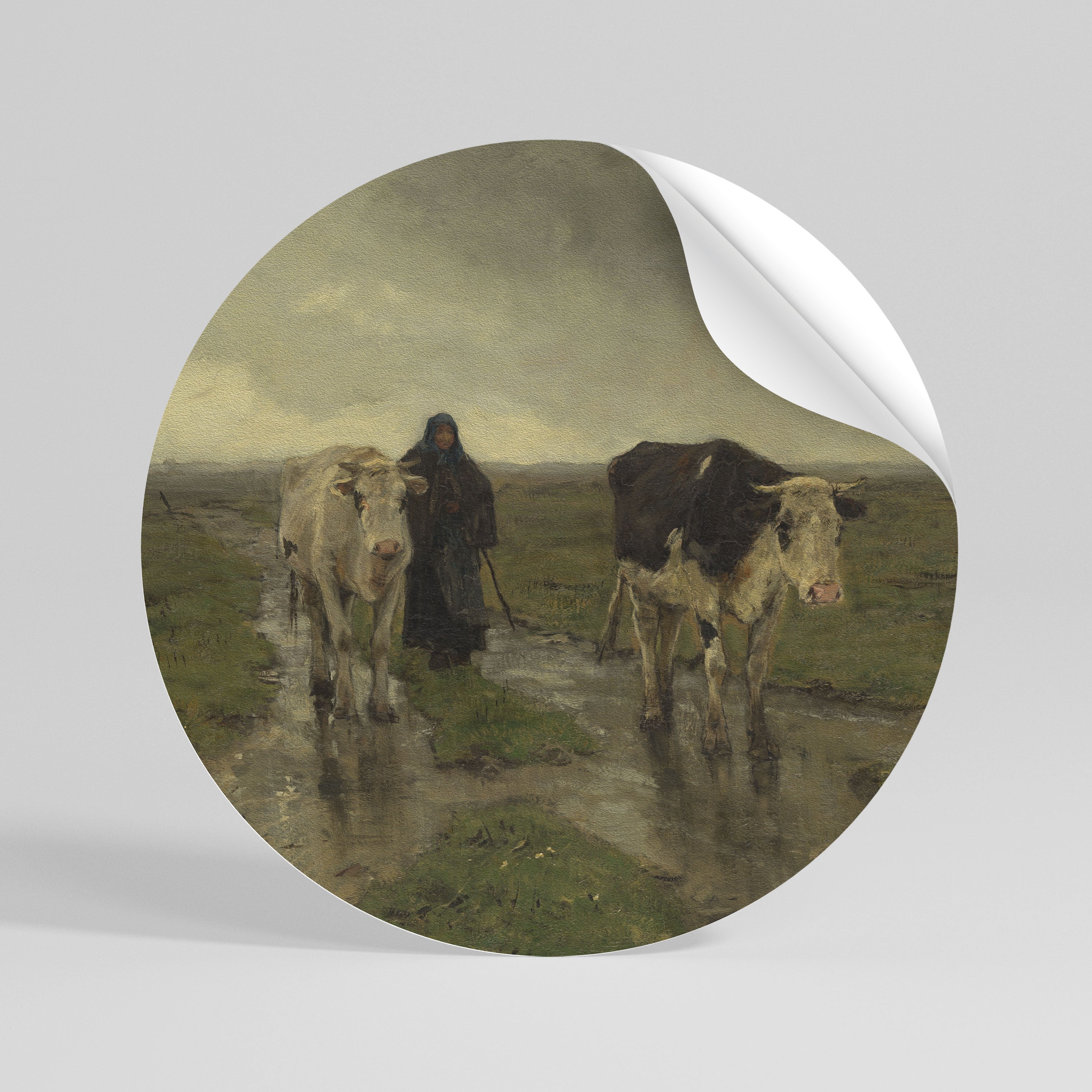 RAINY REFLECTIONS Vinilo adhesivo redondo