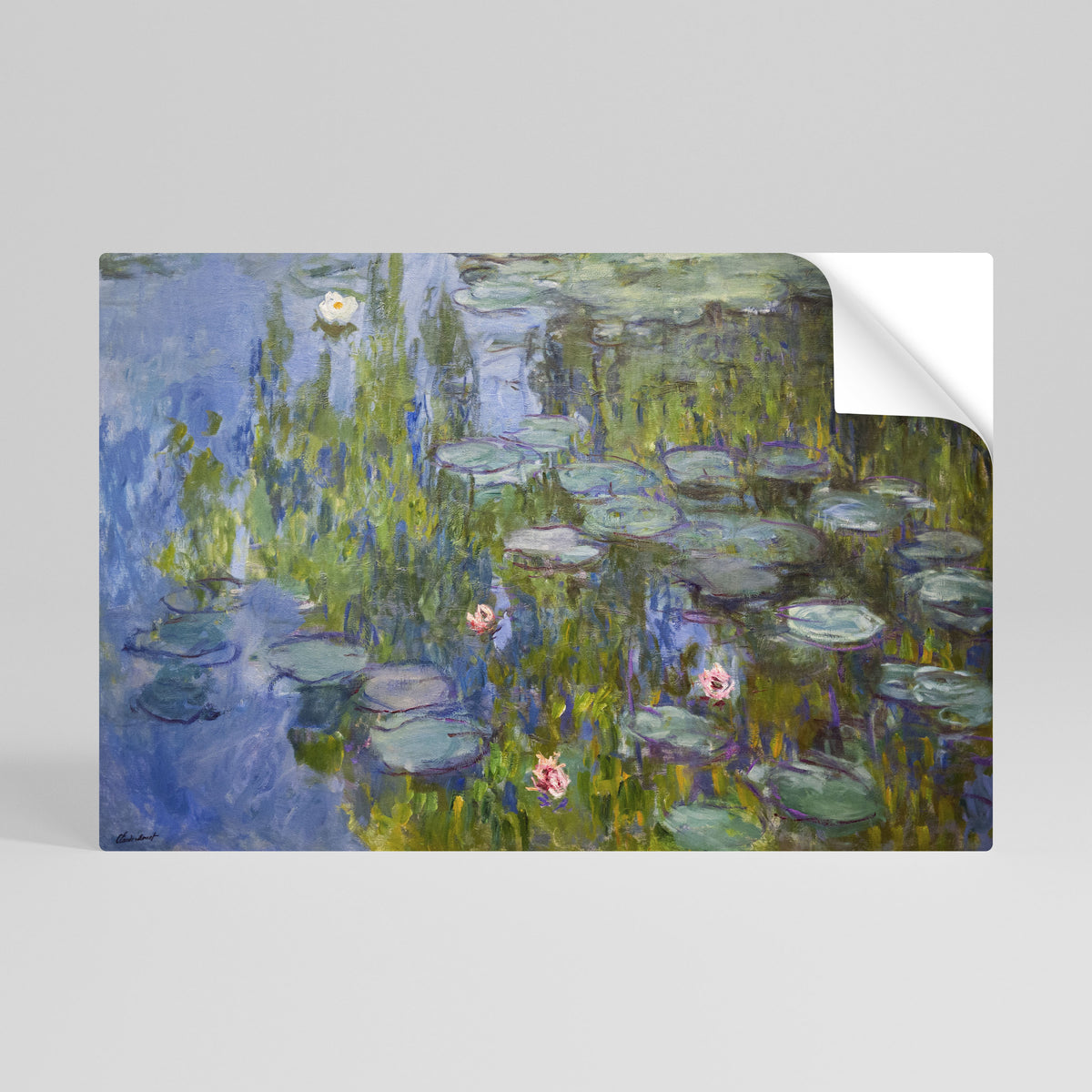 WATER LILIES Póster adhesivo horizontal