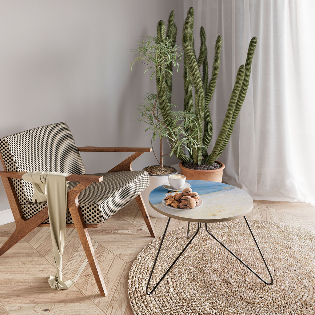 SUMMER EVENING ON SKAGEN'S BEACH Coffee Table