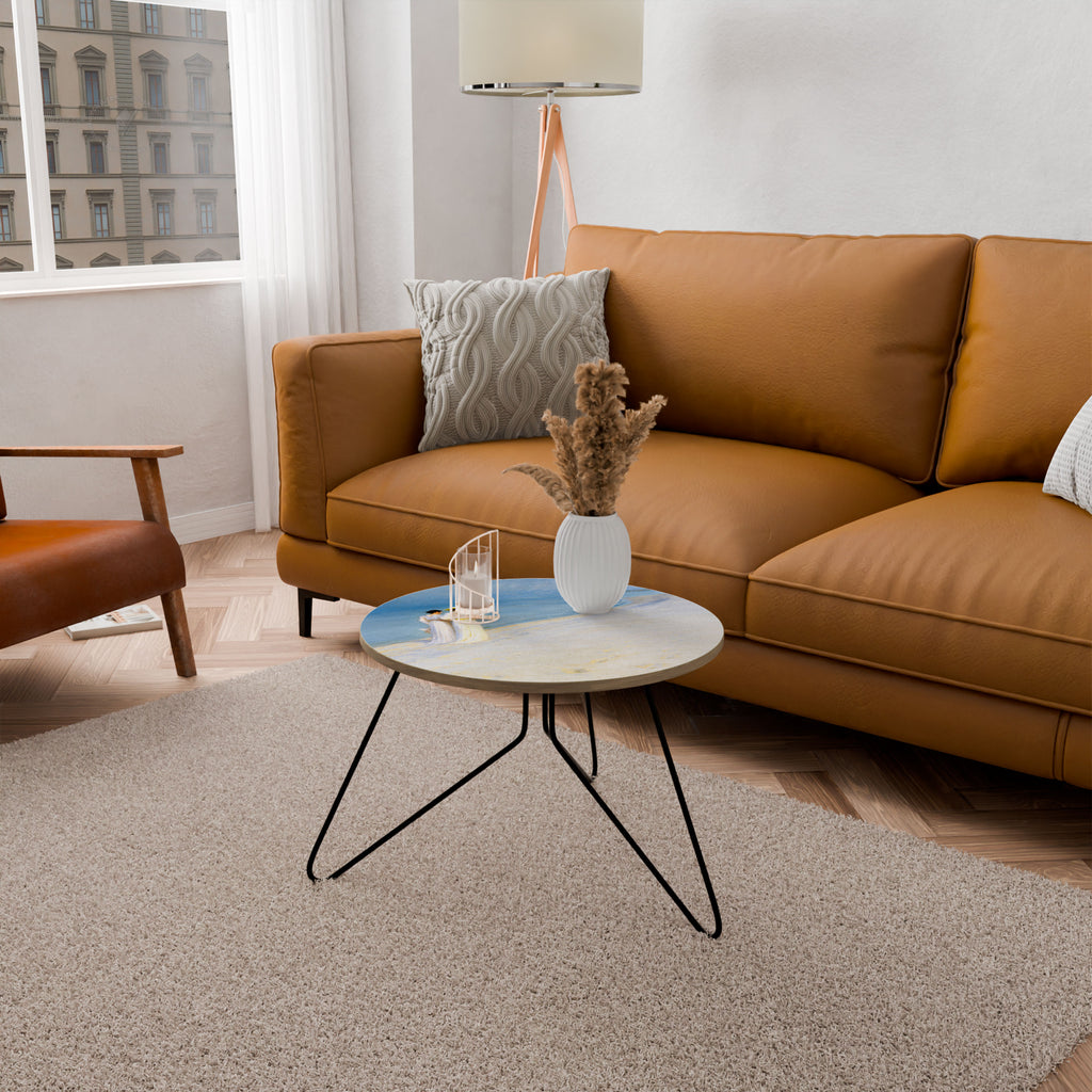 SUMMER EVENING ON SKAGEN'S BEACH Coffee Table