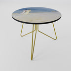 SUMMER EVENING ON SKAGEN'S BEACH Coffee Table