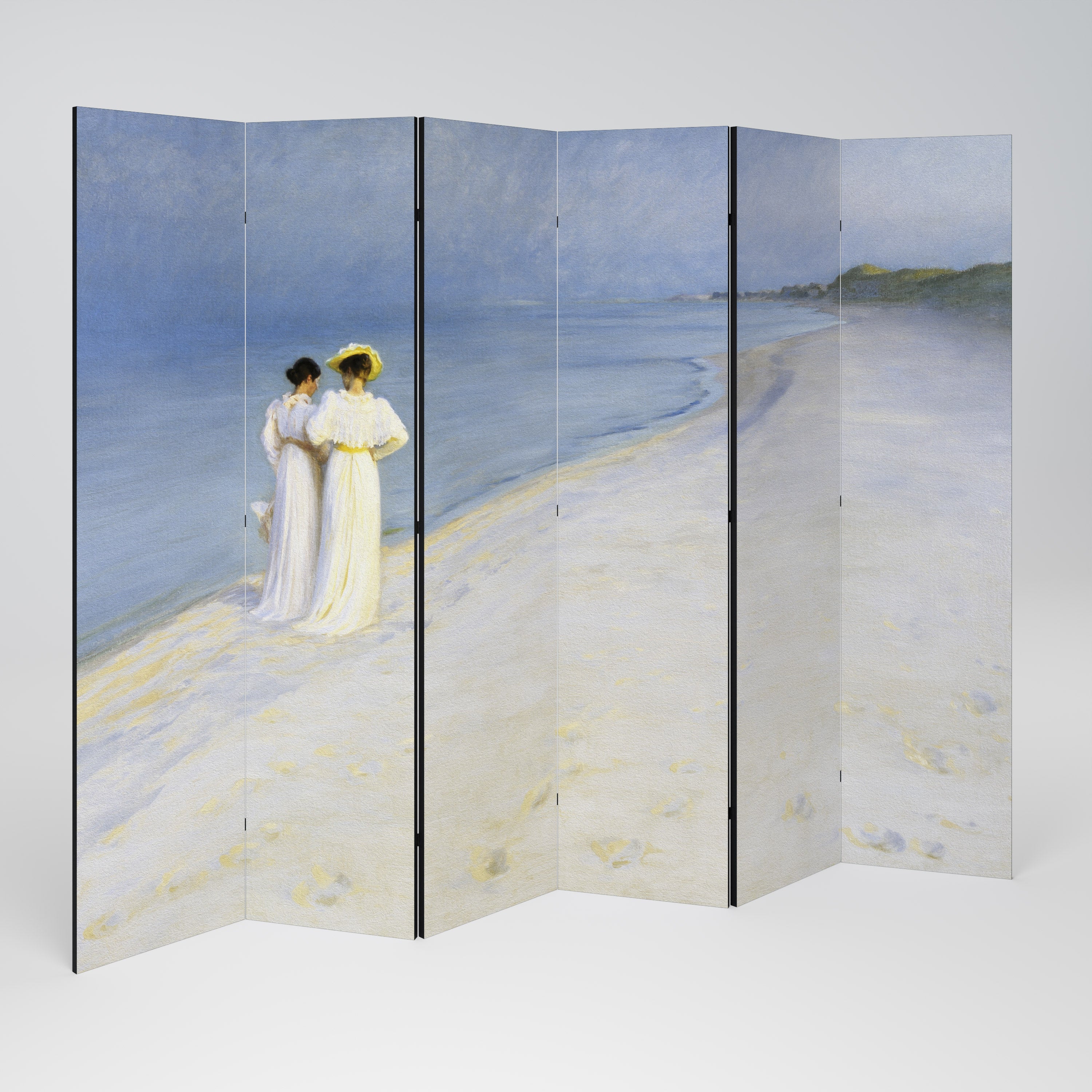 SUMMER EVENING ON SKAGEN'S BEACH 6-Panel Room Divider