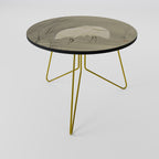 ZILVERREIGERS IN MOERAS Coffee Table