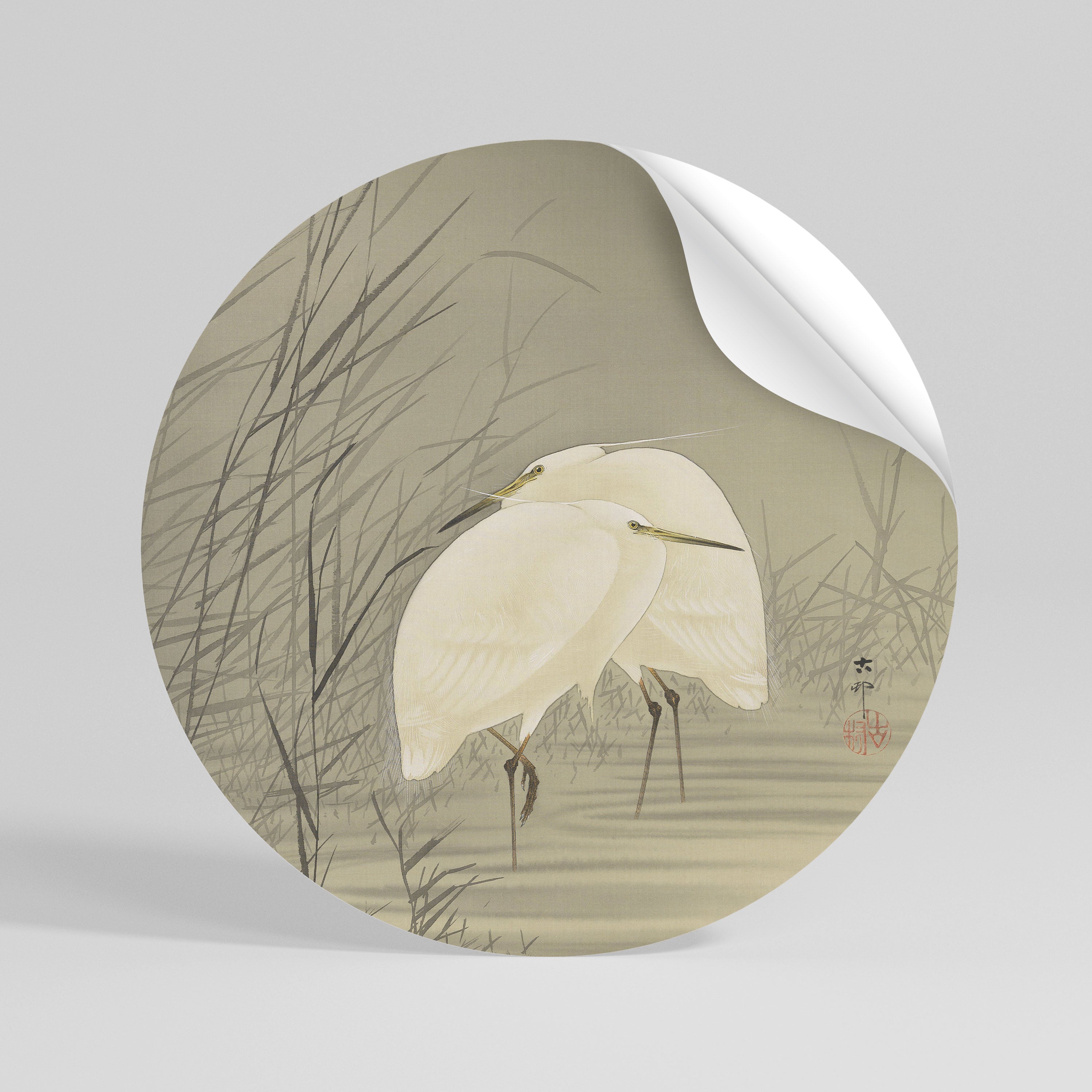 ZILVERREIGERS IN MOERAS Vinilo adhesivo redondo