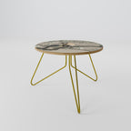 TITS ON CHERRY BRANCH Coffee Table 60