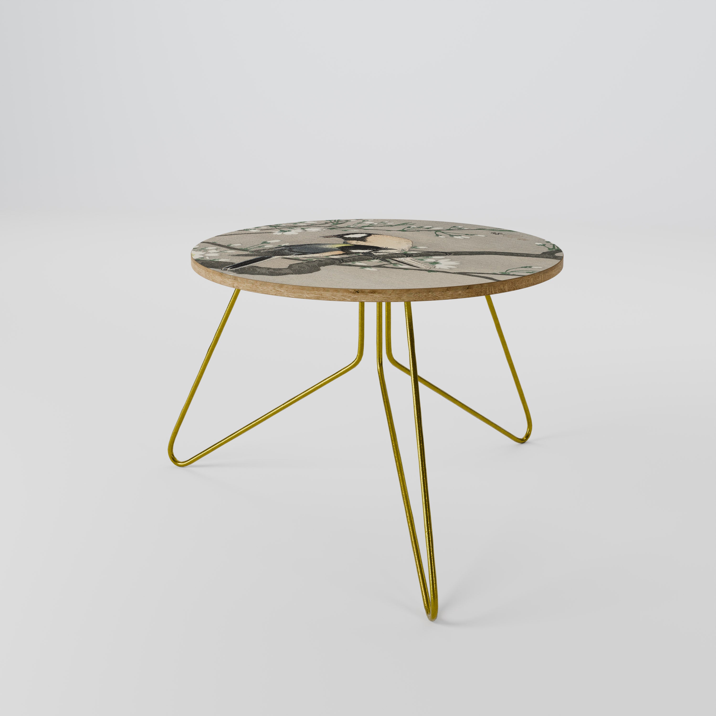 TITS ON CHERRY BRANCH Coffee Table 60