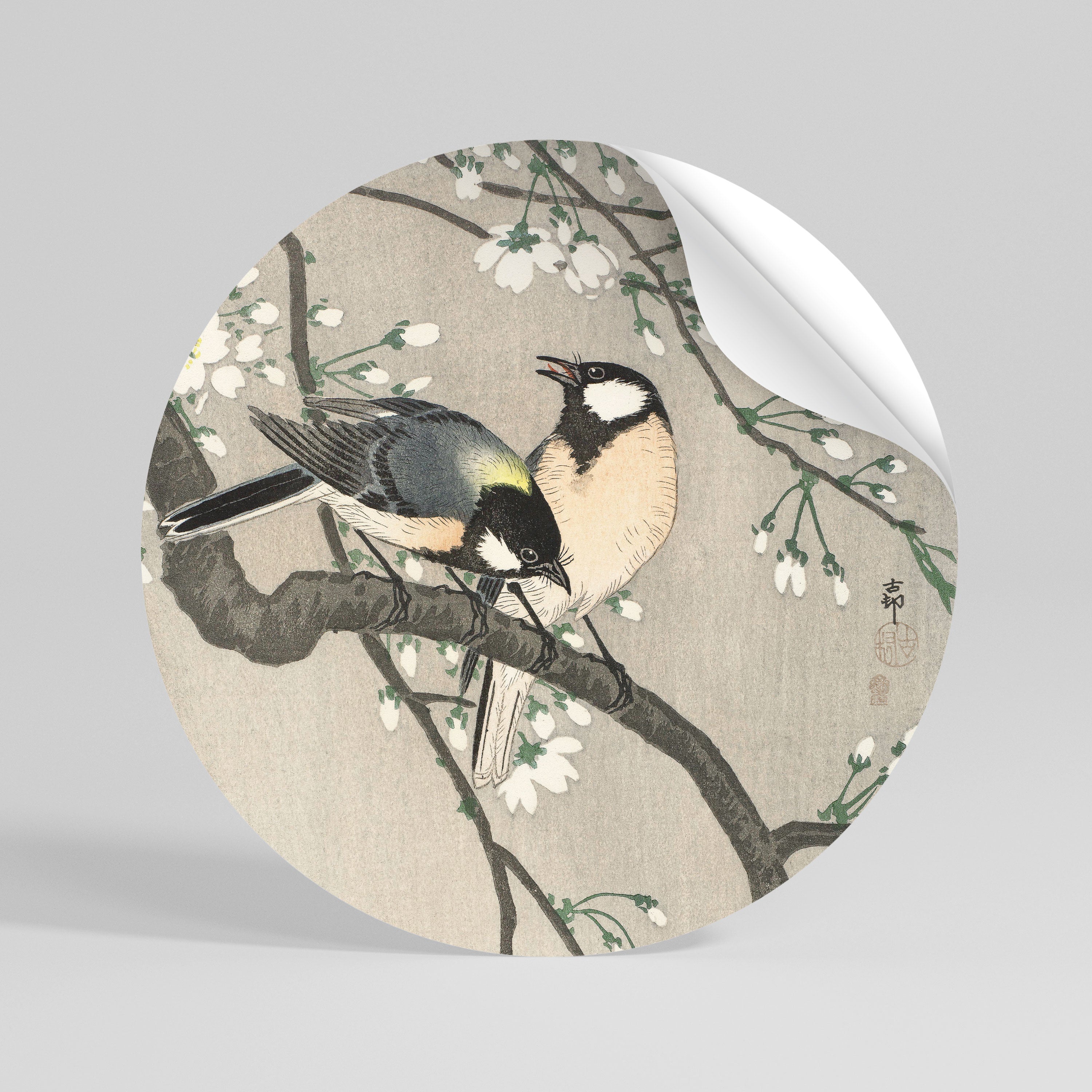 TITS ON CHERRY BRANCH Vinilo adhesivo redondo