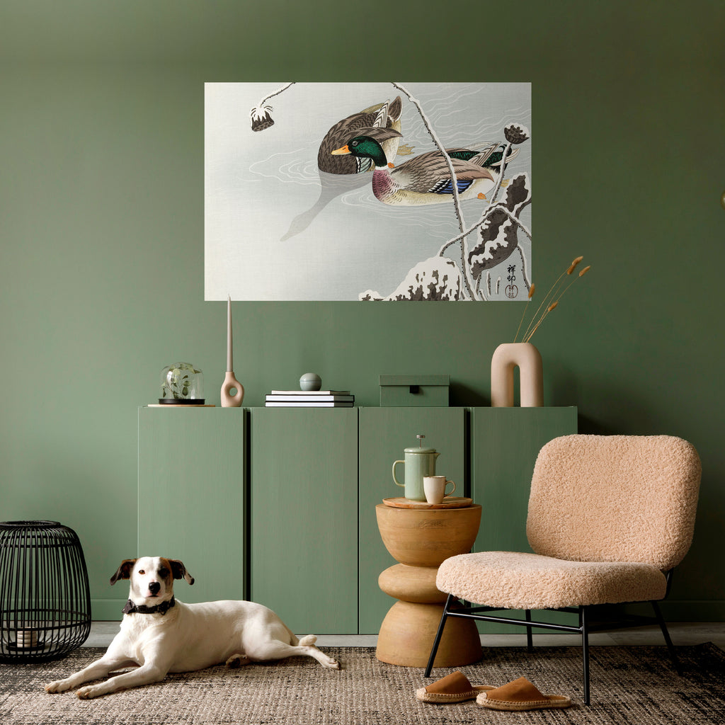 Póster horizontal autoadhesivo "BAILE DE PATOS"