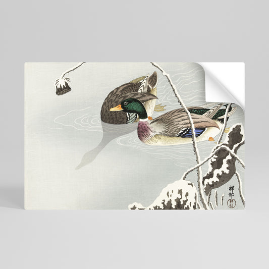 DANCE OF DUCKS Póster adhesivo horizontal