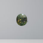 VIRGIN FOREST WITH SUNSET Estante Ovalado Decorativo en Acabado Negro